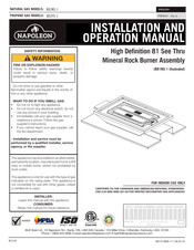 Napoleon B81PS-1 Manuel D'installation Et D'opération