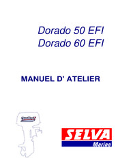 Selva Dorado 60 EFI Manuel D'atelier