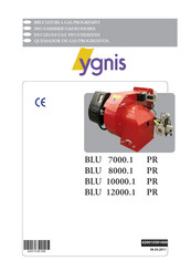 Ygnis BLU 12000.1 PR Manuel D'instructions