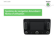 Skoda Amundsen+ Notice D'utilisation