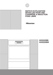 Hisense HI55222BW Notice D'utilisation