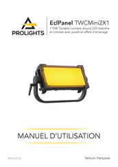 ProLights EclPanel TWCMini2X1 Manuel D'utilisation