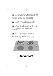 Brandt TI 213 Serie Guide D'utilisation
