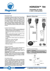 Magnetrol HORIZON 704 Fiche Technique