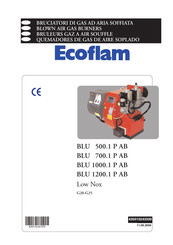 Ecoflam BLU 1000.1 P AB Mode D'emploi