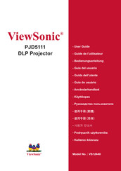 ViewSonic PJD5111 Guide De L'utilisateur